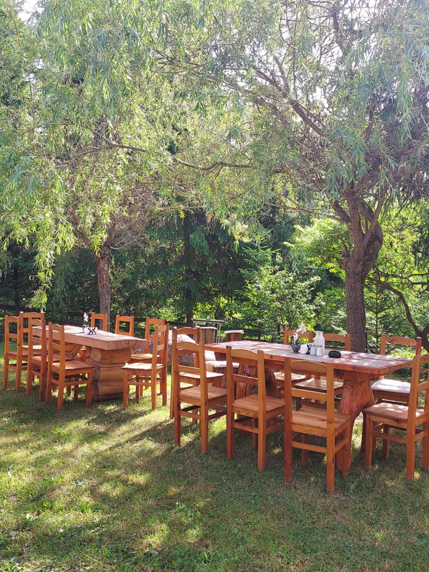 Pensiunea La Taverna Trăisteni Exteriör bild