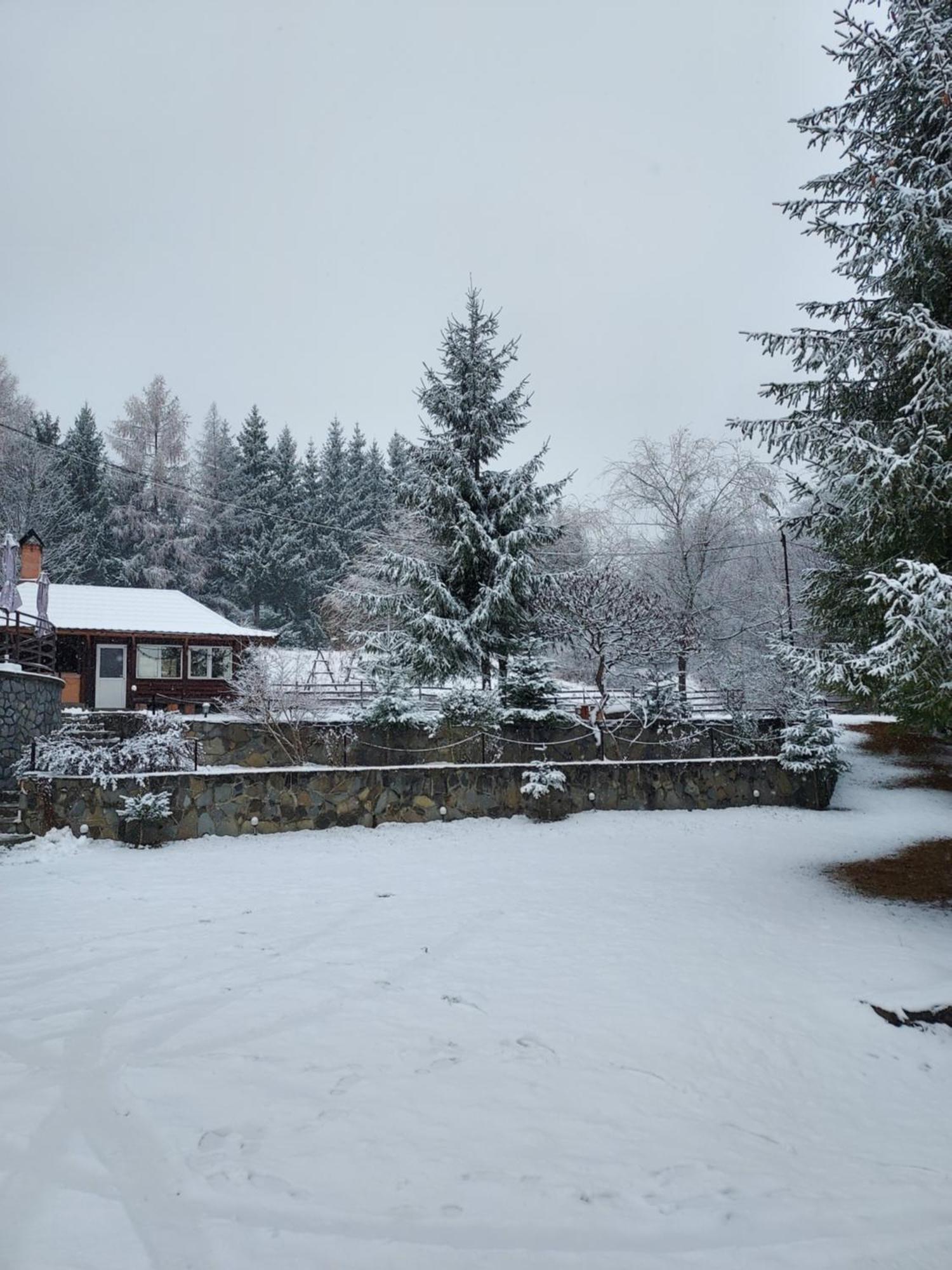Pensiunea La Taverna Trăisteni Exteriör bild